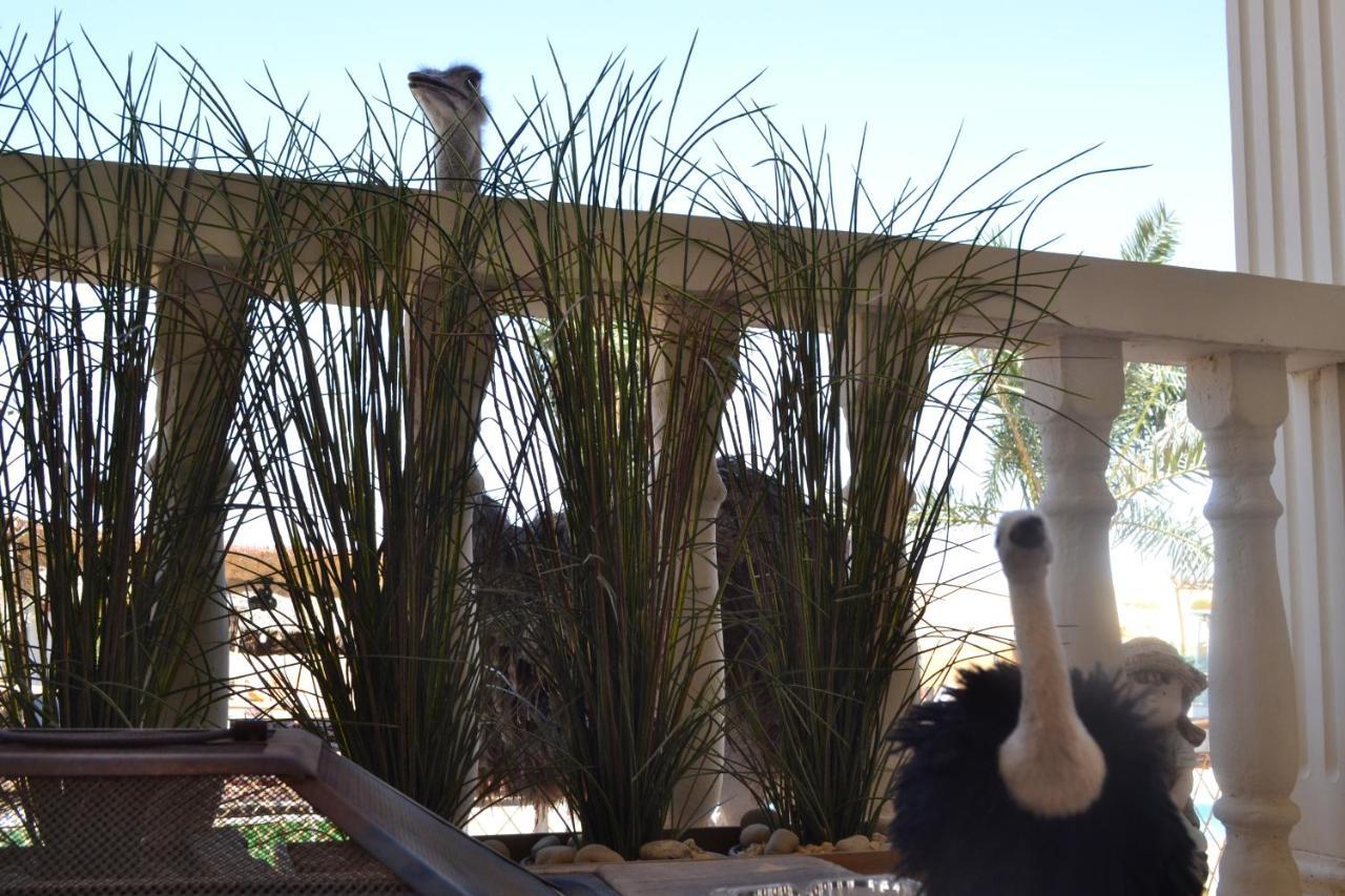 Farm Lebanon Guest House Abu Dhabi Eksteriør bilde