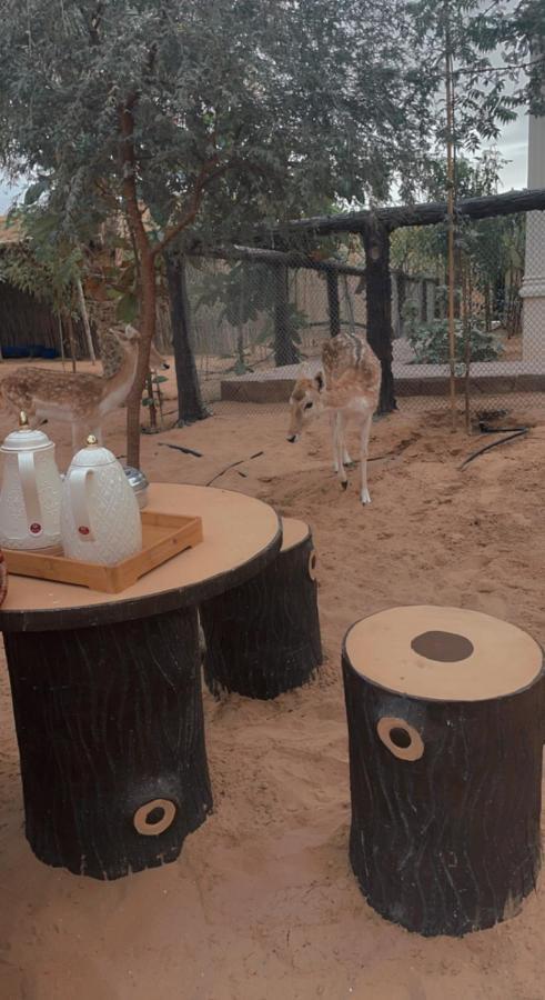 Farm Lebanon Guest House Abu Dhabi Eksteriør bilde